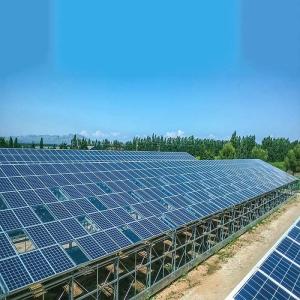 Wholesale Rust Protection Greenhouse PV Mounting Structure Wind Load 60m/s from china suppliers