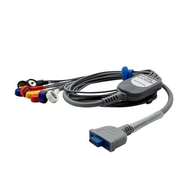 Pengyang 10 Lead Holter ECG Cable 15pin Snap For Adult / Pediatric