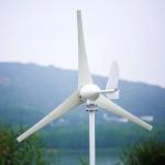 Off Grid Horizontal Wind Power System With Wind Solar Hybrid Controller