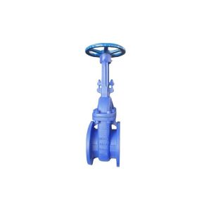 Wholesale DIN Standard Cast Steel Gate Valve , Bellow Seal Globe Valve Long Cycle Life from china suppliers