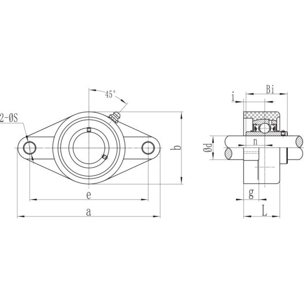 Thermoplastic Flange Pillow Block Bearing Stainless Steel Insert Bearings SS UCFLPL204