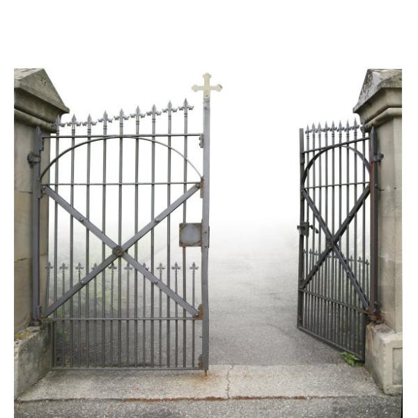 Swing Wrought Iron Electric Gates Powder Coated With ISO14001 Certified