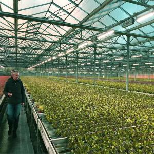 Wholesale Integrated PV Module Mounting Systems For Greenhouse from china suppliers