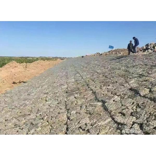 Hexagonal Woven Galvanized Gabion Box: An Iron Wire Mesh Gabion Net Solution