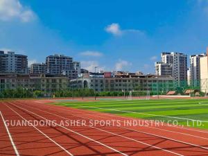 China Customized Thickness EPDM Running Track Weather Resistance 2 Years Warranty on sale