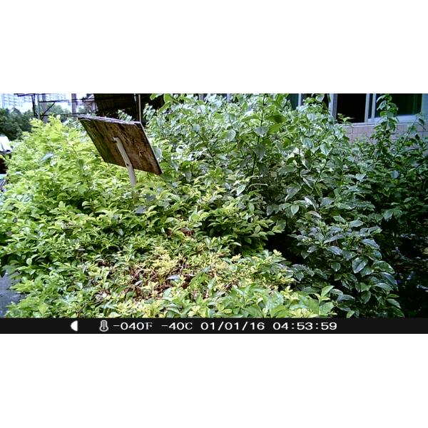 2017 Popular New Full 1080P 3G Sale Motion Sensor Outdoor Waterproof Wildlife Digital Hunting Scouting Trail Mini Camera