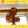 New Design High Quality Electric Chain Hoist for sale
