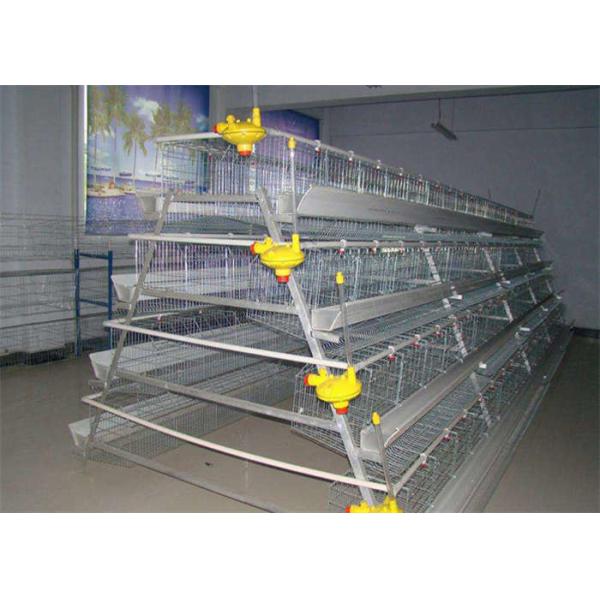 A Type RTL Chicken Cage / 3 Tier 5 Doors Galvanized Layer Poultry Cage For Broilers