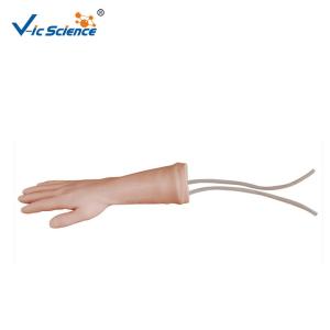 Wholesale Medical Science Human Training Hand Model Training Nursing Manikins Model from china suppliers