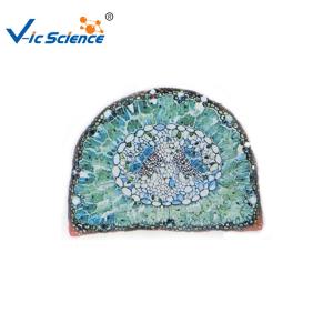 Wholesale Professional Labs Sterile Microscope Slides Set 15pcs VIC09 OEM Service from china suppliers
