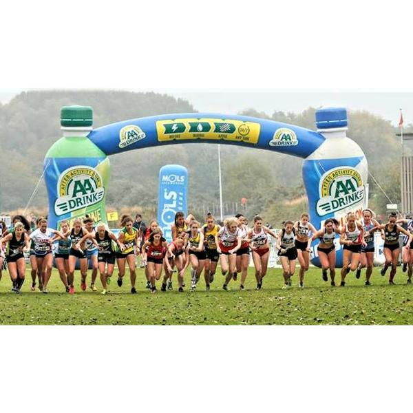 Customized Giant Inflatable arch gate promotion Inflatable arch gate for outdoor Event