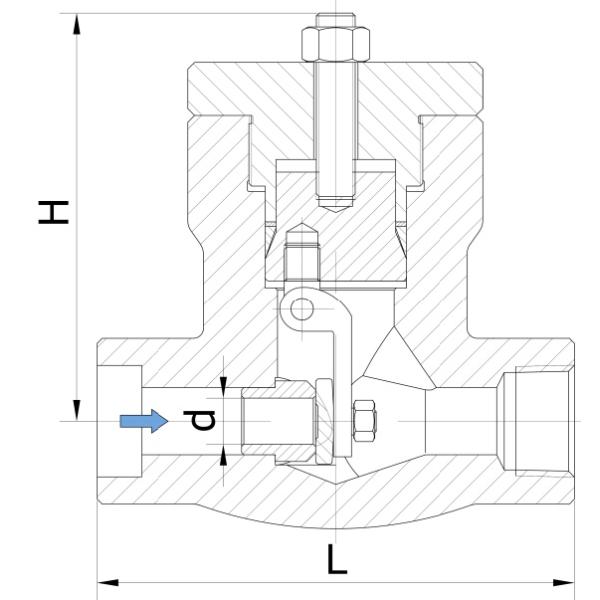 Lift Type Check Valve Carbon Steel Check Valve 1inch Dn25 1500lb RTJ Self Sealing PSC Pressure Seal Check Valve