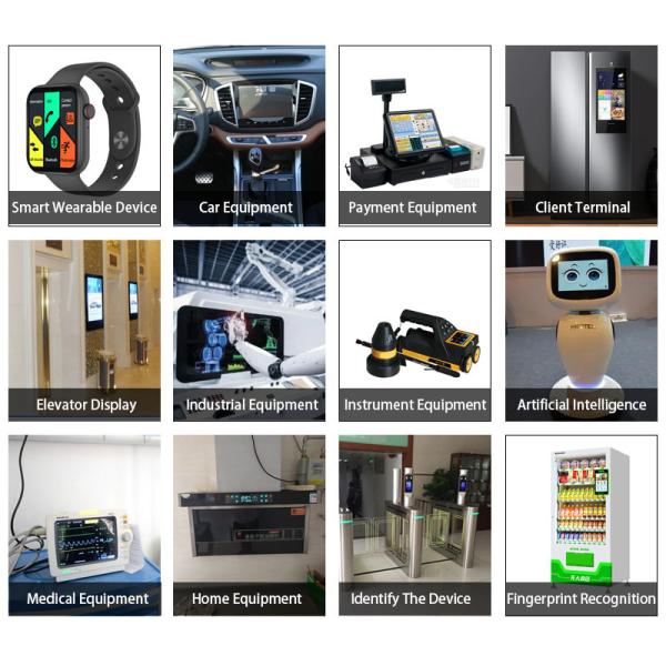 WVGA Small LCD Touch Screen 4.3inch All Viewing Angle IPS TFT Display