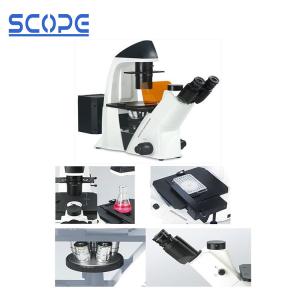 Wholesale BDS400-FL Inverted Biological Microscope Epifluorescence Illumination from china suppliers