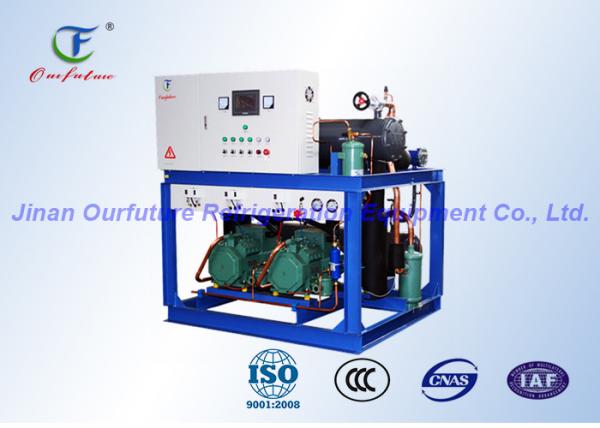 Quality Reciprocating Refrigeration Compressor Rack Parallel 220V 1Phase 60Hz for sale