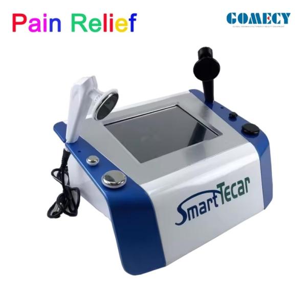 Portable High-Performance Radiofrequency Tecar Therapy Machine for Horse Sports Injuries - Advanced Physiotherapy Treatment