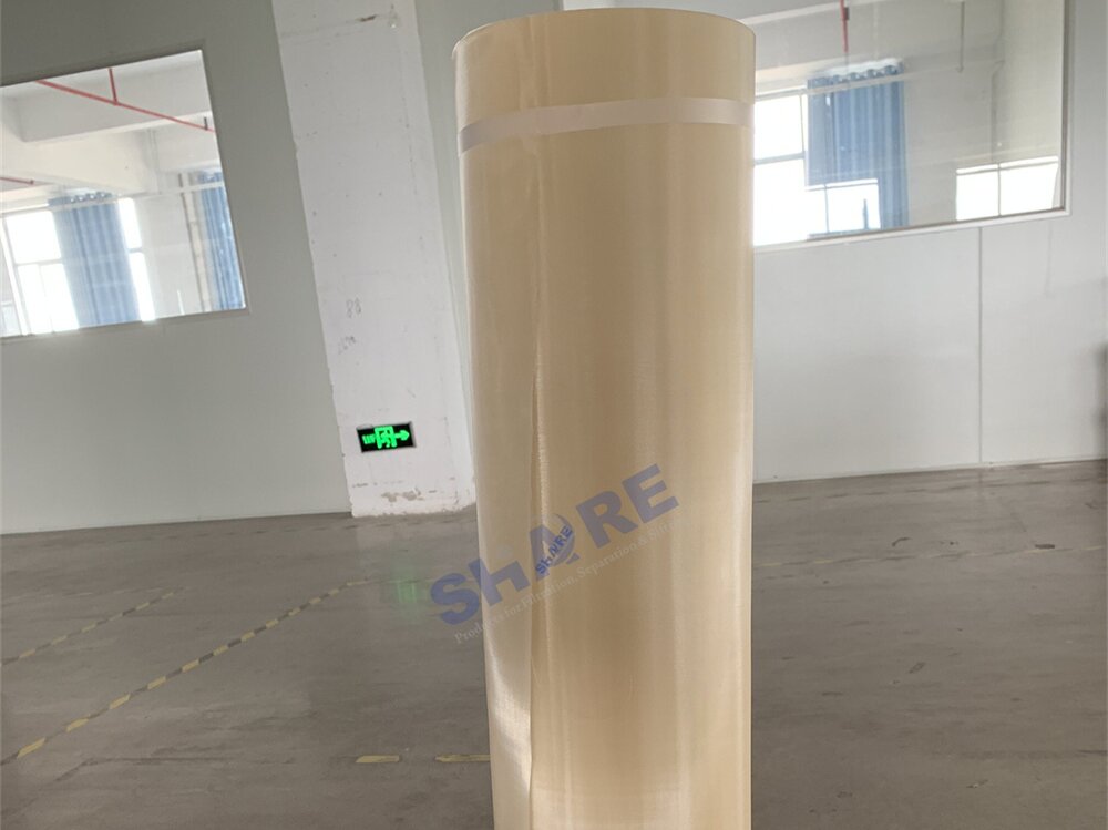 PPS mesh