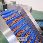 Seamless Integration Date Sorting Machine With State Of The Art Technology