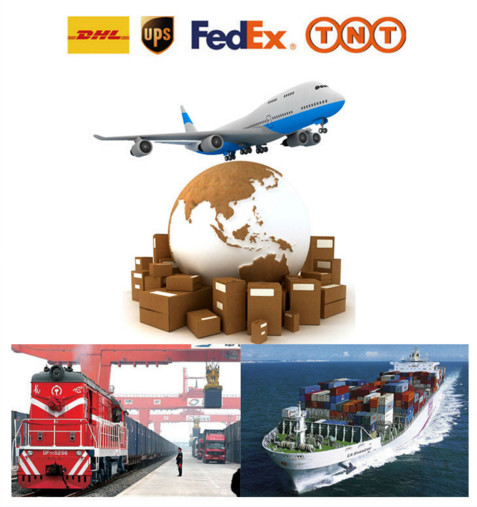 1cm Multicolor Hoodie Polyester Flat Drawstring Cord With Plastic Metal Tips