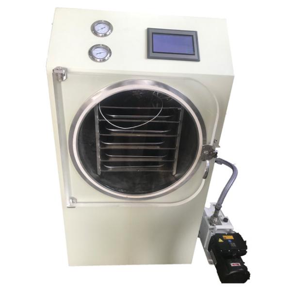 Quality Portable Freeze Dried Food Machine 0.6sqm Touch Screen Convenient Operation for sale