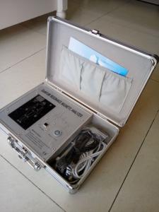 China Silver Quantum Sub Health Analyzer Original software free download on sale