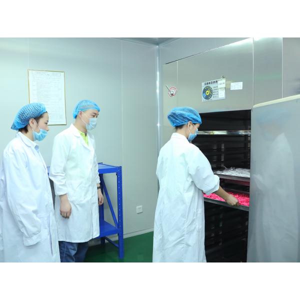 Lushcolor Disposable Microblading Tool / Embroidery Eyebrow Tattoo Gun