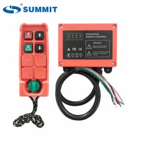 Wholesale Telecrane F21-2S Electric Hoist Remote Control 110V Micro Winch Remote Control Switch from china suppliers