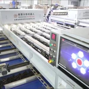 Wholesale Enhancing Chestnut Processing Efficiency and Quality: A High-Capacity, AI-Powered Sorting Machine with 8 Lanes and 8 Outlets for Diverse Needs from china suppliers