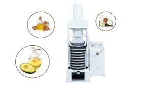 Wholesale 6YY-250D-SS 75kg/h high quality oil expeller machine cold press from china suppliers