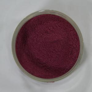 China organic blueberry powder, instant blueberry powder,blueberry fruit juice powder on sale