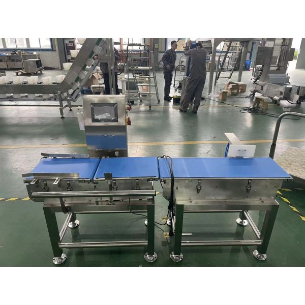 Automatic Conveyor Check Weigher Machine 50p/M 220 300 400 500 Width