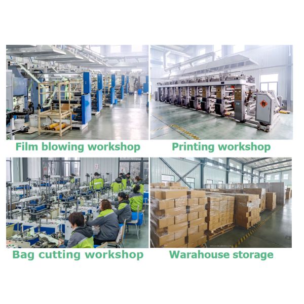 Recyclable Compostable Mailing Bag PLA Eco Friendly Parcel Bags Matte