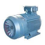 IP55 3 Phase Variable Speed AC Motor Induction Iron Cast 100% Output Power