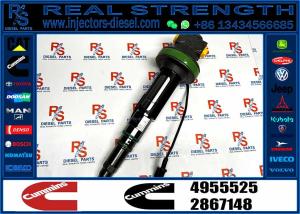 China NINE BRAND high quality diesel injector 4955525 Qsk19 injector fuel injector 4955525 on sale
