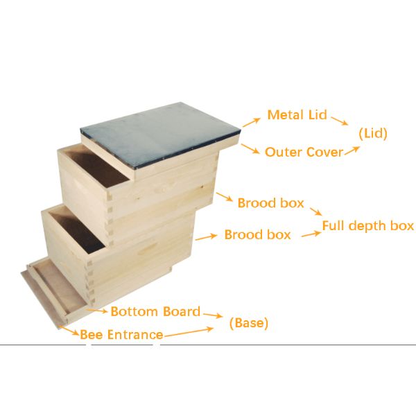 8 Frames Unassembled Bee Boxes Bee Hive
