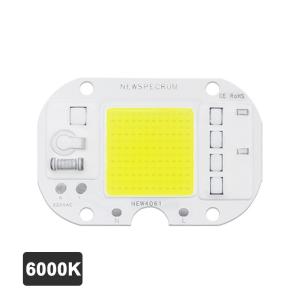 Customized Brightness Chip LED COB Module Driverless Lamp Beads For Foold Light