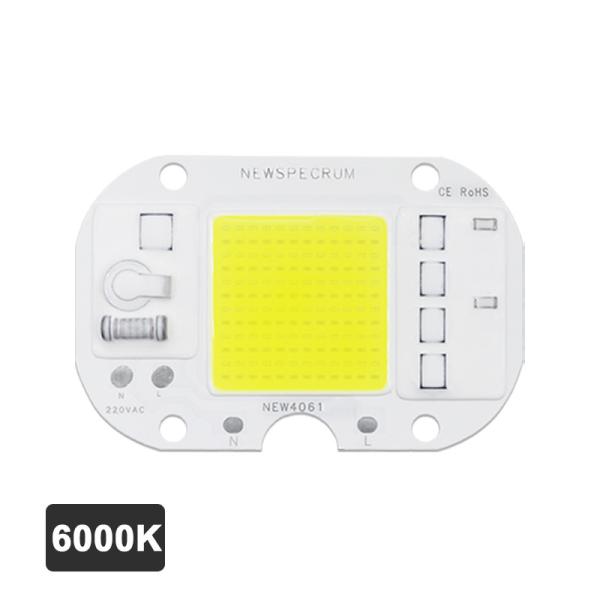 Quality Customized Brightness Chip LED COB Module Driverless Lamp Beads For Foold Light for sale