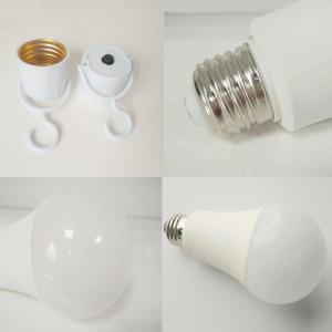 China 6V LED Torch Bulb 0-10V or Triac Dimmable 4000k 5000k 5 Years Warranty on sale
