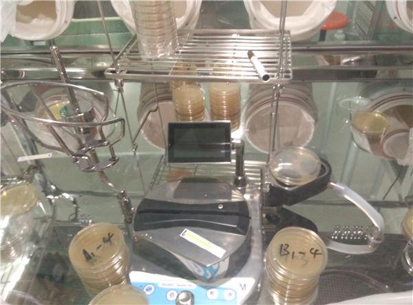 Quality Sterility Testing Of Medical Devices Biological Products Test Pump Validation Minisart for sale