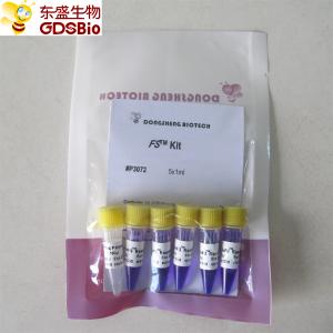 Wholesale FS PCR Master Mix PCR Kit For DNA RNA Nucleic Acid Detection P3072 1ml×5 from china suppliers