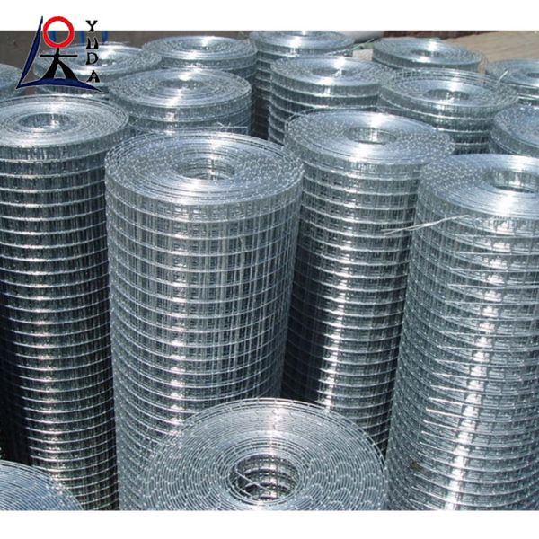 Galvanized Welded Wire Mesh Fence Rolls Aviary Rabbit Hutch Chicken Mesh