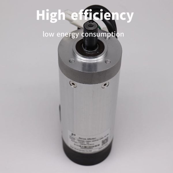 EBS59R IE2 High Power 24V DC Servo Motor With Gearbox