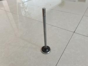 Wholesale Engine Intake Valve Exhaust Valve Parts 252-7802 224-3030 Customized from china suppliers