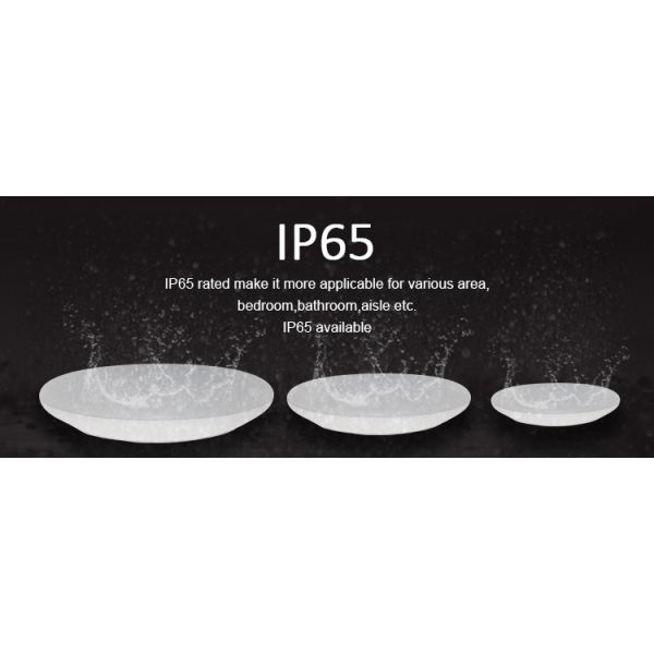 Ip65 Dimmable Mini Ceiling Mount Motion Sensor Light Fixture Led Round