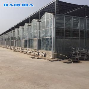 Wholesale Solar Polycarbonate Sheet Greenhouse / Agricultural PC Sheet Greenhouse from china suppliers