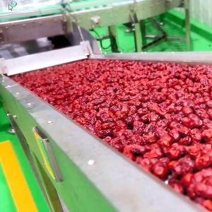 Wholesale Factory Customized turn-key project full automatic hawthorn processing line from china suppliers