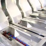 380V 8.5KW Dates Sorting Machine 16 Lanes AI Optical Grading Machine