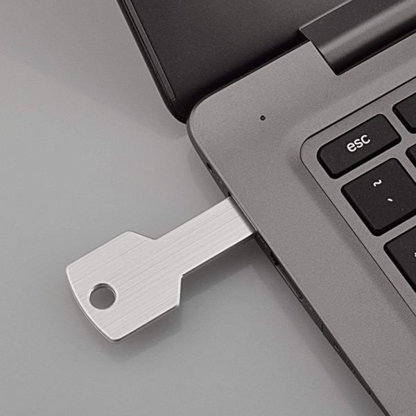 Personalized Memory USB Flash Drive , 4Gb-128Gb Key USB Flash Drive OEM Available