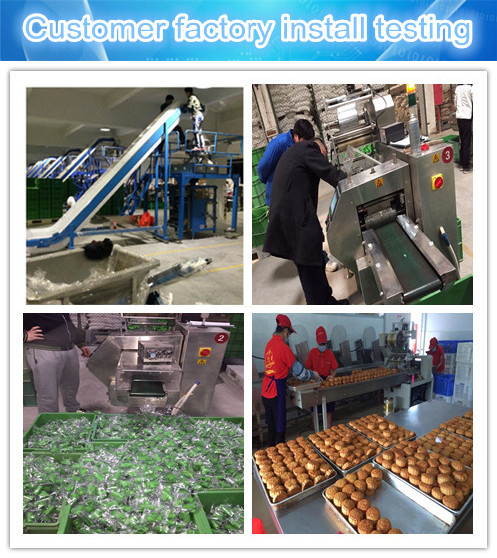 HDL fruit and vagetable pillow packing machine