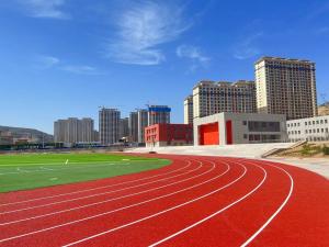 China Weather Resistance EPDM Rubber Running Track Sports Floor 13mm Thickness on sale